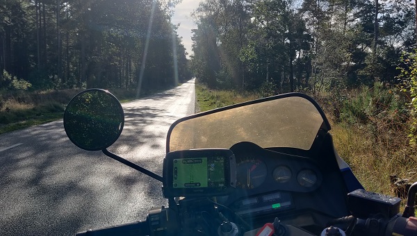 Veluwe wolvenjacht