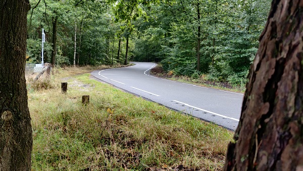 Veluwe wolvenjacht
