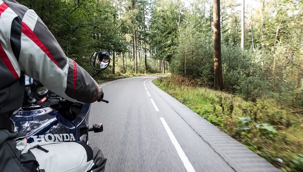 Veluwe wolvenjacht