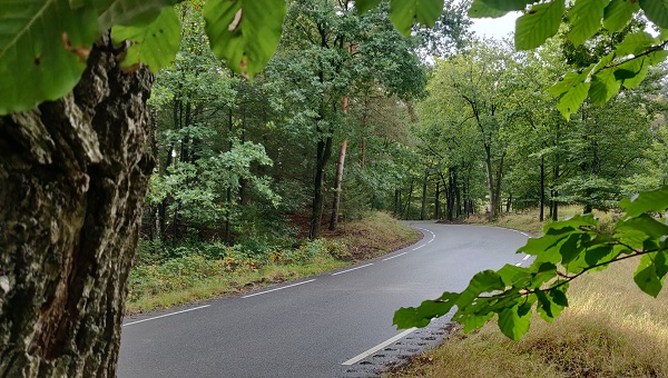 Veluwe wolvenjacht